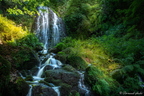 250801-Auvergne-4476-HDR