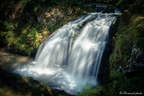 250804-Auvergne-4758