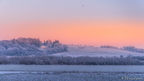 26-01-paysage-9380