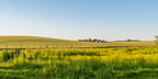 210531-Marcilly en Beauce-3900