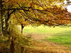 bord de loir 5