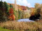 bord de loir