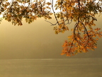 brume (2)