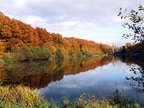 étang de fréteval
