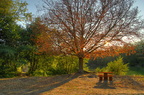 Hdr contre jour