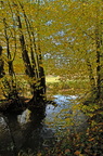 ruisseau 3